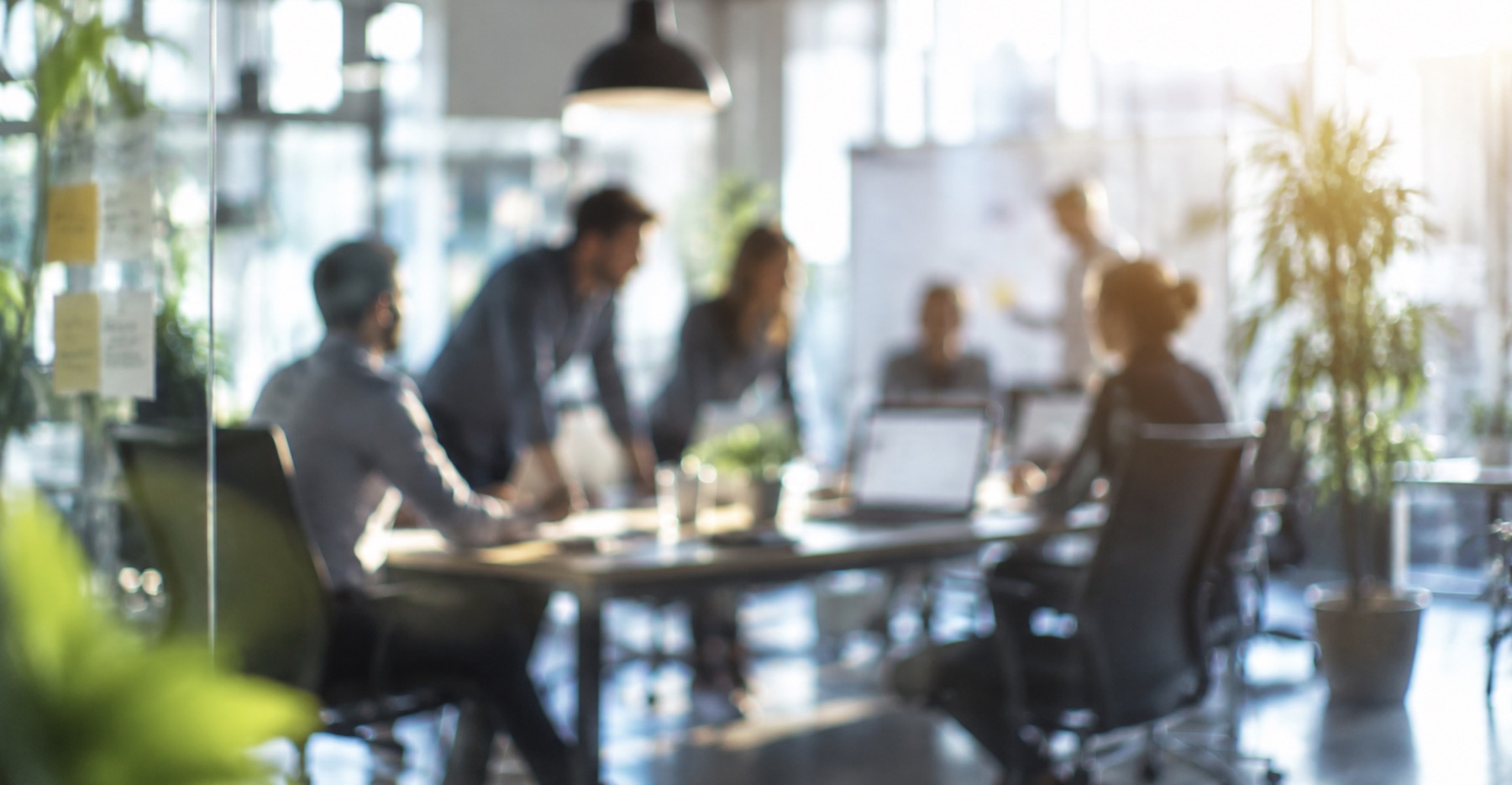 Les consultants Prime Conseil